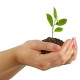 Eco friendly initiative