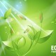 eco friendly