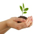 Seed paper