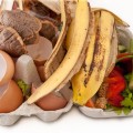 Composting
