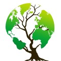 Eco firendly items