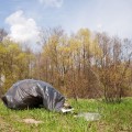Eco friendly