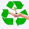 Environment Responsibility