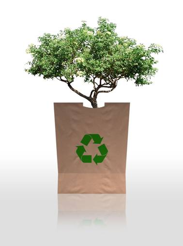 eco friendly wastes