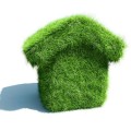 eco friendly
