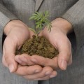 go green