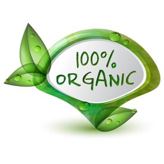 eco friendly promotional items