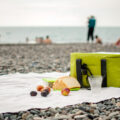 National Picnic Day at Custom Grocery Bags
