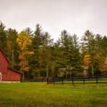 Carbon Offsets Help Farmers Honor the Environment: Learn More With Custom Grocery Bags