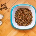 Eco-Friendly Pet Food Becomes the New Favorite: Learn More With Custom Grocery Bags