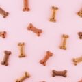 Vegan Dog Food Takes the Market by Storm