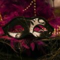 Making Mardi Gras and Carnival More Eco-Friendly | Learn More With Custom Grocery Bags