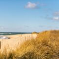 Cape Cod’s Eco-Friendly Homes: More From Custom Grocery Bags