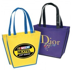 Reusable Designer Bag - NW14