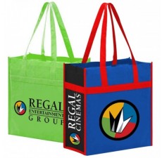 Reusable Small Grocery Bag - NW2