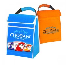 Wholesale Insulated Totes - CL11