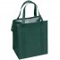 Custom Large Insulated Cooler Totes - Green - CL1