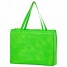 Eco Saver Shopping Bag - Lime Green - NW10