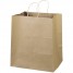 Limber Pine Recycled Paper Bag - Natural - RP2