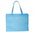 NW9  - Reusable Shopping Bag - Carolina Blue