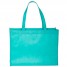 NW9  - Reusable Shopping Bag - Teal