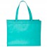 NW9  - Reusable Shopping Bag - Teal