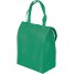 Custom Cooler Bags -Green - CL9