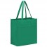Reusable Small Grocery Bag - Kelly Green - NW2