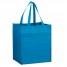 Reusable Small Grocery Bag - Maui Blue - NW2