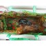 The Ruttenberg Bag - Inside 2 - RG18
